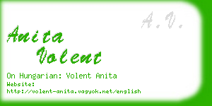 anita volent business card